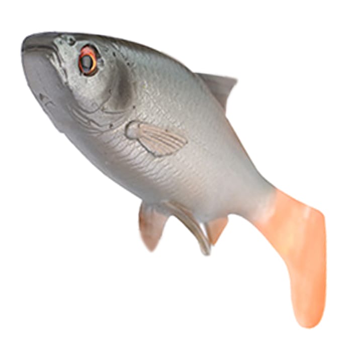Savage Gear 3D River Roach Paddle Tail Close Up