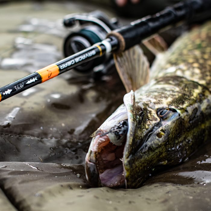 Savage Gear Medium Lure Outfit In Use 1