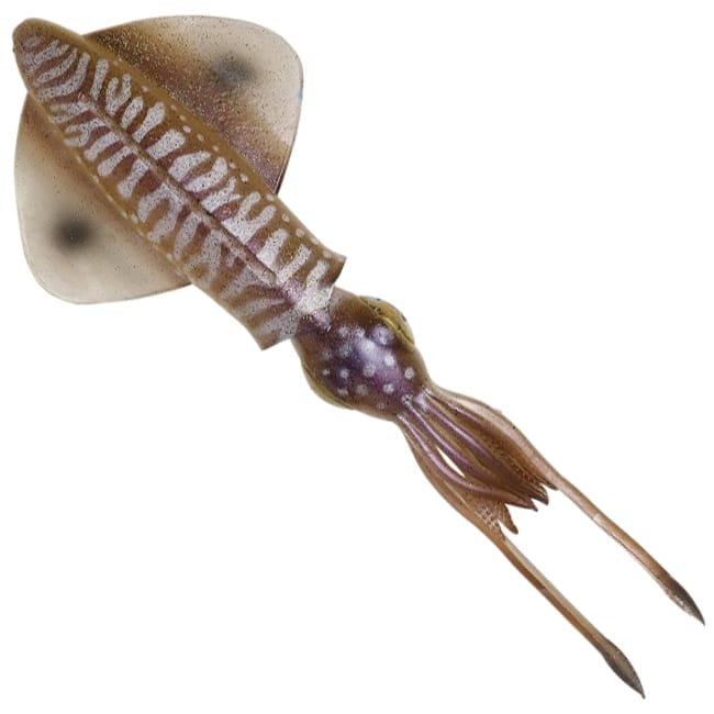 Savage Gear 3D Swim Squid Sinking Lure - Cuttlefish