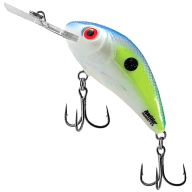 Sexy Shad