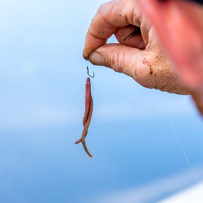 Guru Kaizen Spade Hooks - Barbed