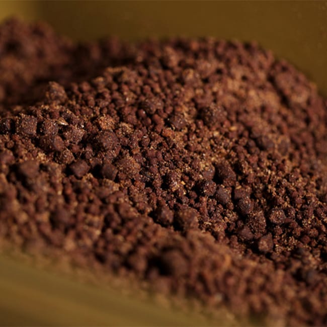 Sticky Baits Bloodworm Session Pack Close Up 1