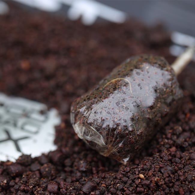 Sticky Baits Bloodworm Spod & Bag Mix 2.5kg Close Up 2