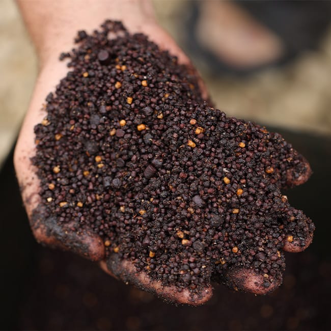 Sticky Baits Bloodworm Spod & Bag Mix 2.5kg Close Up 4