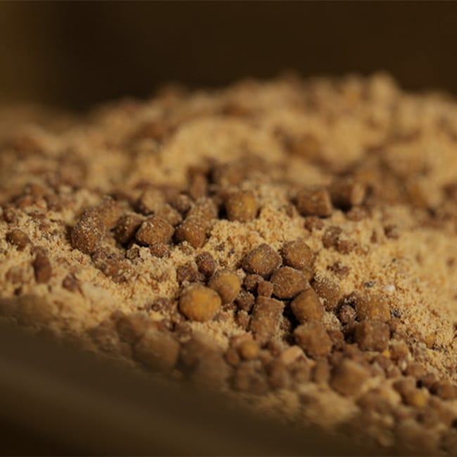 Sticky Baits Manilla Session Pack Close Up 1