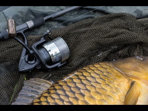 Wychwood Extricator 5000FD