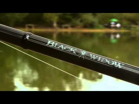 Daiwa Black Widow Carp Rod