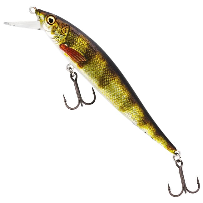 Real Perch