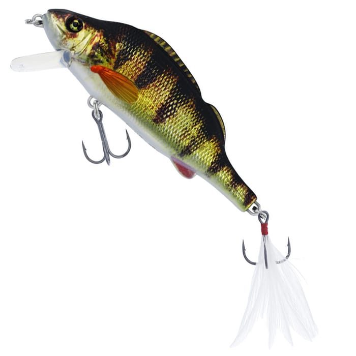 Real Perch