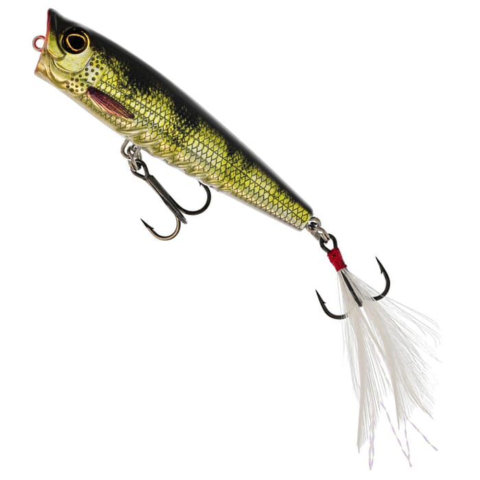 Real Perch