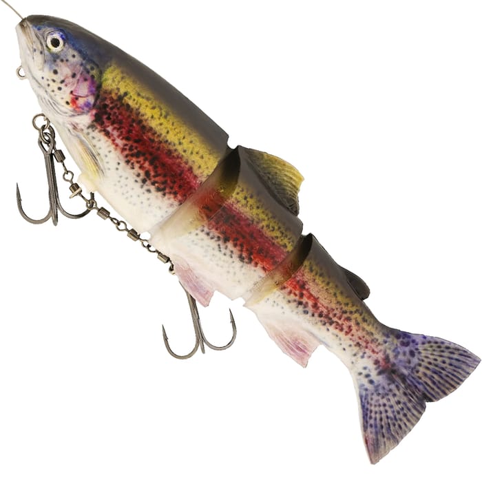 Real Rainbow Trout