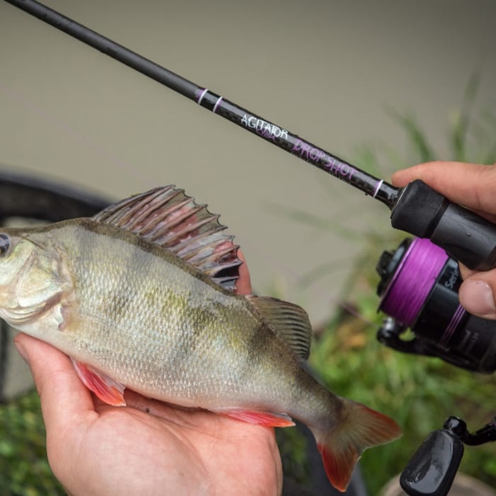 Wychwood Agitator Drop Shot Rods In Use 8