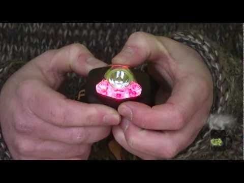 ESP Head Torches 2013
