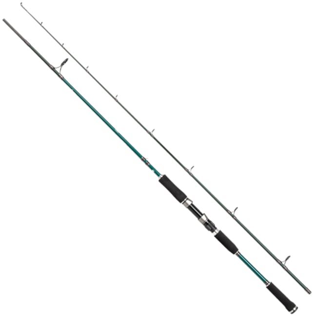 Abu Garcia Beast X Pike Spinning Rod