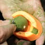 Guru X-Safe Method Fishing Feeder In Use 4
