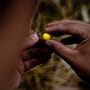 Munch Baits Zingas Fishing Pop Ups In Use 1