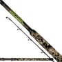 Black Cat Wild Cat'z Rod
