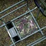 Carp Porter Navigator Puncture Proof Barrow DPM Bag Top View