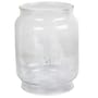 Coleman Northstar Lantern Globe
