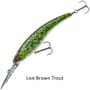 Daiwa Prorex Diving Minnow DR Lure Live Brown Trout