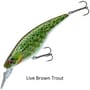 Daiwa Prorex Flat Bait MR Lure Live Brown Trout