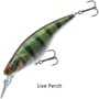 Daiwa Prorex Flat Bait MR Lure Live Perch
