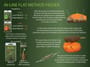 Drennan In Line Flat Method Fishing Feeder With Mould Information 3