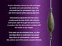 Drennan In-Line Fishing Olivettes Information 1