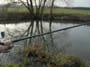 Drennan MatchPro Ultralight Rod In Use
