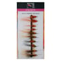 FM Allys Shrimps Selection