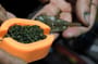 Guru X-Press Method Fishing Moulds In Use 2