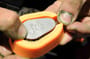 Guru X-Press Method Fishing Moulds In Use 3