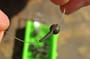Korda Naked Chod Fishing System In Use 4
