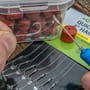 Korum Big Fish 4" Quickstop Hair Rigs In Use