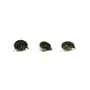 Nash Black Louse Bugs 1