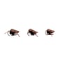 Nash Corixa Bugs 1
