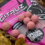 Nash Citruz Cultured Hookbaits Close Up 3