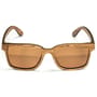 Nash Timber Amber Sunglasses 1