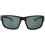 Preston Polarised Sunglasses Front