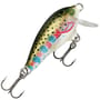 Rainbow Trout