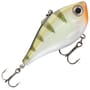 Yellow Perch