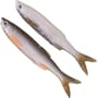 Savage Gear 3D Bleak Real Tail Lure