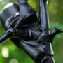 Shimano - Striking Against Bankside Greenery