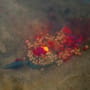 Sonubaits Lava Rocks In Use 3