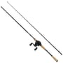 Abu Garcia Max Pike Casting Rod & Reel Combo