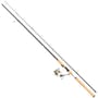 Abu Garcia Max Pro Spinning Rod & Reel Combo