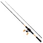 Abu Garcia Max STX Casting Rod & Reel Combo
