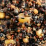 Advanta 500g Handy Pack Particle Spod Mix 1
