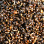 Advanta 500g Handy Pack Natural Hemp 1
