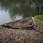 Advanta 42 Inch Landing Net & 6ft 2 Piece Handle With Net Floats In Use 1